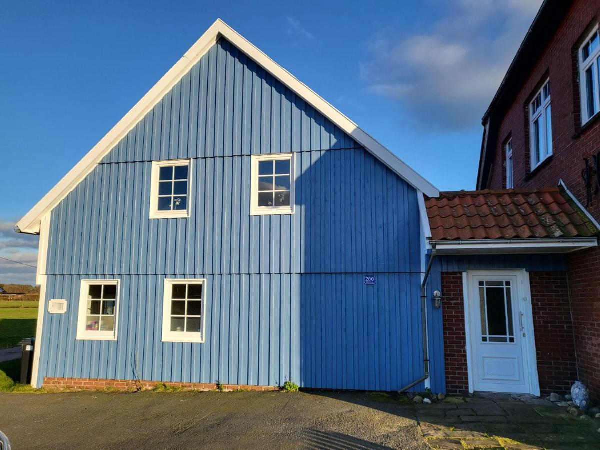 Urlaub Im Blauen Haus Apartment Sehestedt  ภายนอก รูปภาพ